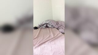 KOREAN BJ 2017101005 korean bj 006